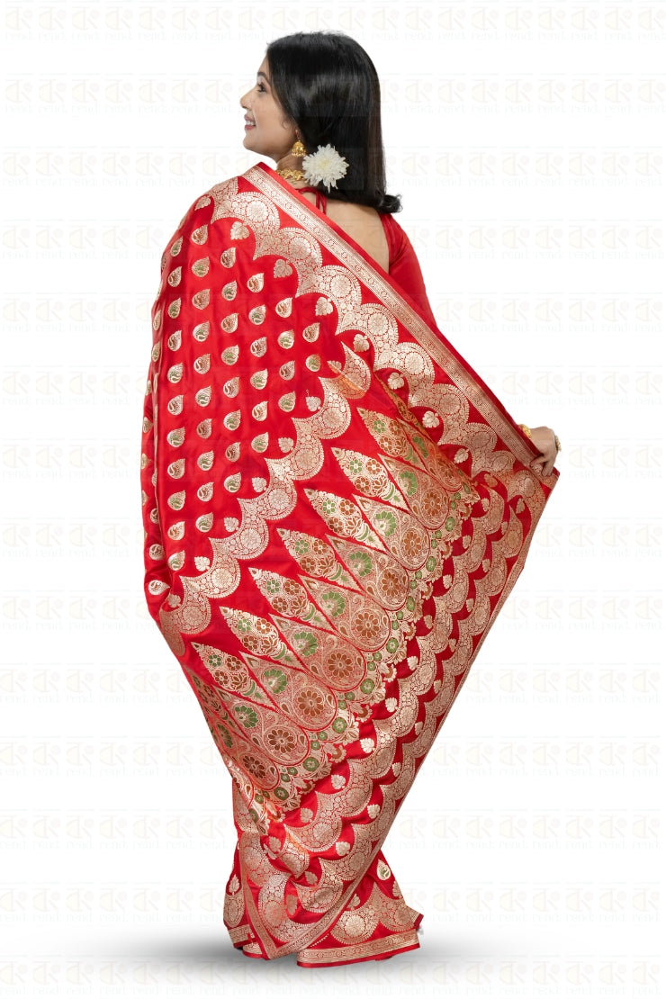 Designer Premium Banarasi Saree