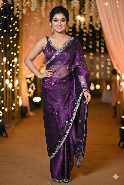 Exclusive Jimmy Choo Silk Saree